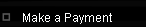 Make a Payment